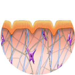 before, skin collagen matrix, Exilis Ultra 360 treatment at wimbledon clinic aesthetics